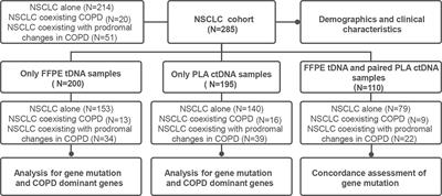 Frontiers | Clinical Characteristics And Gene Mutation Profiles Of ...